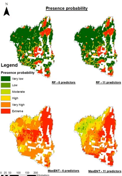 Figure 6. Results of the long-term wildfire presence probability modeling in Nyurbinksy (microscale)