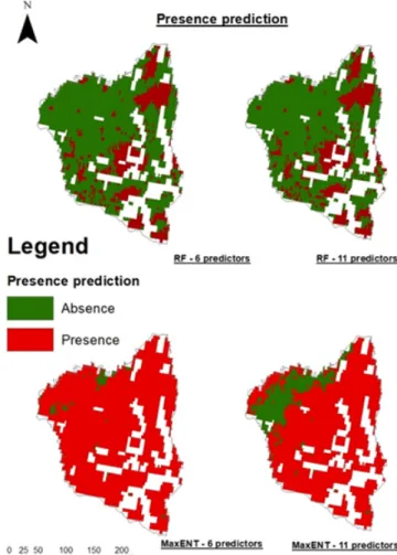 Figure 7. Results of the long-term wildfire presence prediction modeling in Nyurbinsky (macroscale)