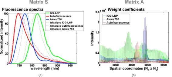 Figure 10 共 c 兲 shows the reference acquisition of the mouse without any capillary: the autofluorescence is the only  fluo-rescence signal measured