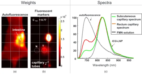 Fig. 15 Unmixing results: 共a兲 and 共b兲 weights 共matrix A 兲 of respectively autofluorescence and ICG-LNP fluorescence, and 共c兲 unmixed spectra 共 matrix S 兲 obtained at convergence, and a comparison with unmixed spectra measured in capillary tubes on the mous
