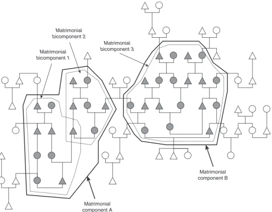 Figure 35.6  Matrimonial components and bicomponents