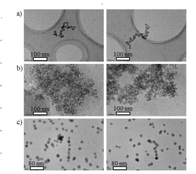 Fig.  5  Cryo-TEM  images  of  a)  a  vitrified  C chitosan =5g/l  /  C SiNP =0.1g/l  monophasic  solution  (Part  1) ;  b)  a  coacervate  phase  with  initial  concentrations  of  C chitosan =1g/l  and  C SiNP =10g/l  (Part  2);  and  c)  a  C chitosan =