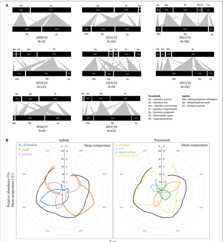 FIGURE 1 | (A) Quantitative food webs of parasitoid and aphid community composition in winters 2009/10 to 2017/18 (there was no insects in 2010/11)