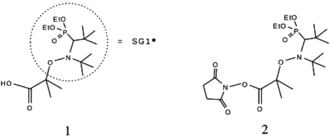 Fig.  1  Initiator  MAMA-SG1  (BlocBuilder),  molecule  1,  and  activated  ester MAMA-NHS, molecule 2