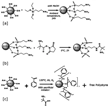 Fig. 2 Scheme of the three steps of grafting: the silanization [a], the over-