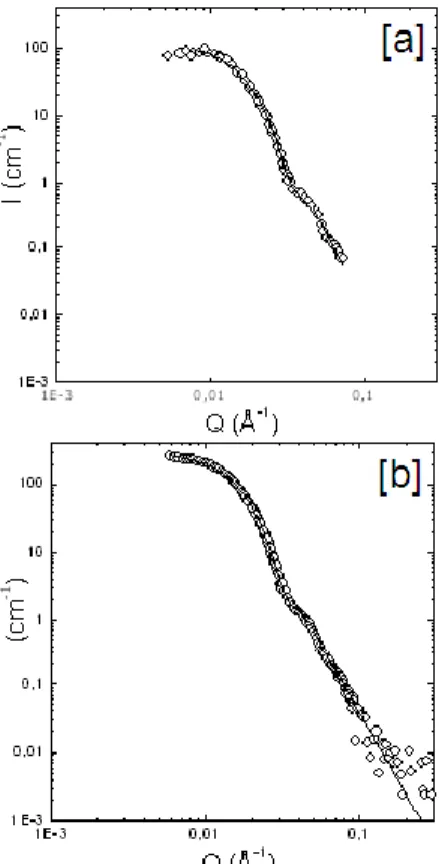 Fig.  3  Scattering  curves  of  diluted  solution  of  Ludox  Silica  particles  in  water  [a],  and  in  Dmac  [b]  after  solvent  transfer