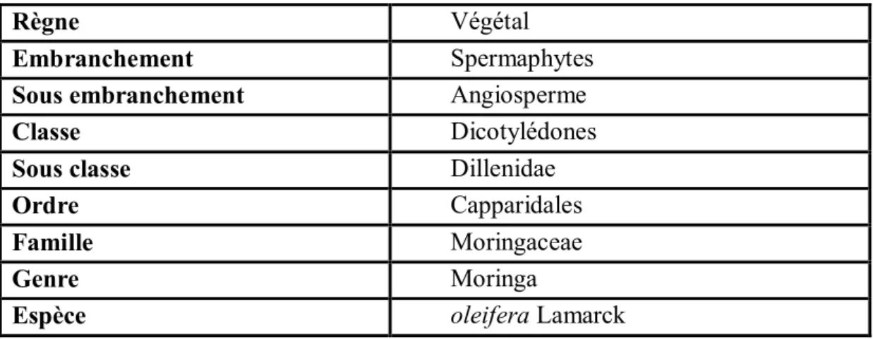 Tableau 3 : Classification systématique de Moringa oleifera (Laleye et al., 2015) 