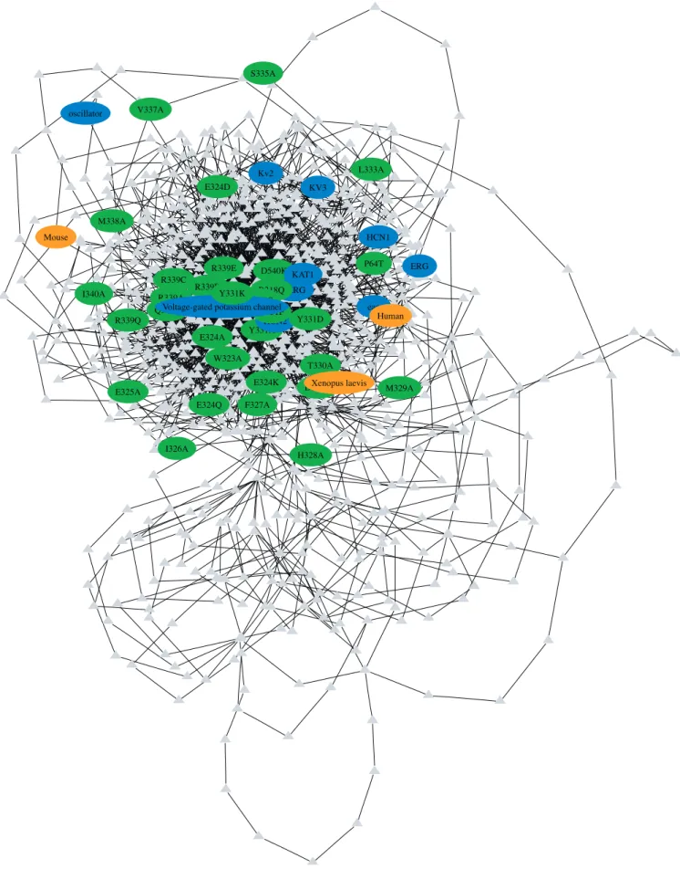 Figure 1. An Energy-Minimized Graph Generated from the Full-Text Article PMID 11553787