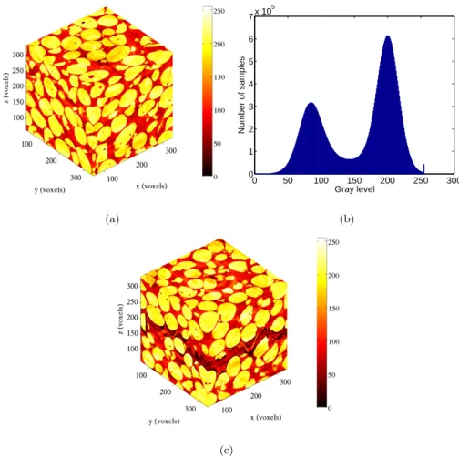 Figure 2: 272 × 272 × 272-voxel ROI (8-bit digitization) of the analyzed propellant in its reference conﬁguration (a), and after failure (c)