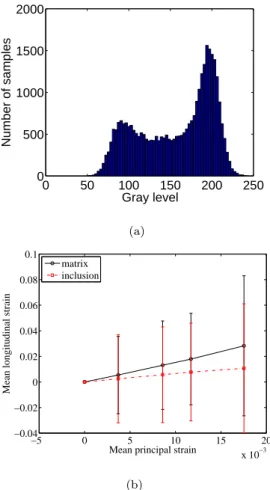 Figure 7: Histogram of mean gray level per element when 8-voxel elements are considered (a)