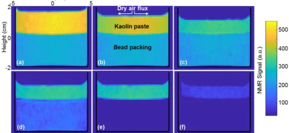 Figure 4: Qualitative (T2-weighted) 2D MRI Images of the kaolin paste (top) - bead packing  (bottom) system at different times during drying: (a) 0, (b) 16 h, (c) 34 h, (d) 52 h, (e) 75  h, (f) 100 h