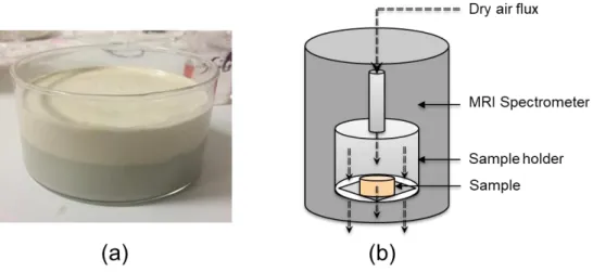 Figure 1: (a) Kaolin paste (upper region) coated on substrate surface (lower region) in the  container
