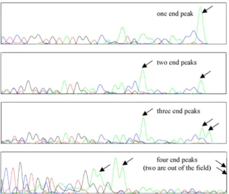 Fig. 2. Examples of traces showing variation in the number of end peaks due to different numbers of haplotypes per individual