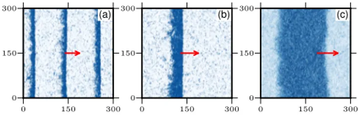 FIG. 1. Band patterns observed in agent-based simulations.