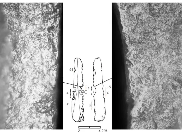 Figure 8: Notched blade from La Grange. Non-contact surface on the dorsal face, contact surface on ventral face