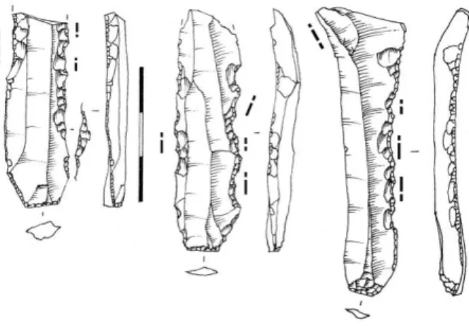 Figure 1: Notched blades from L’Essart with scraping use zones. Drawings F. Blanchet. 