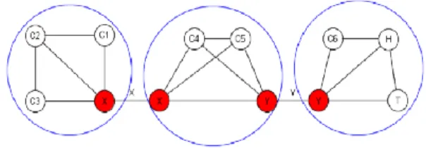 Figure 3. Decomposing result of symbol graph of  T fam  with minimal  separator S * =  {X} and S *’  ={Y }  