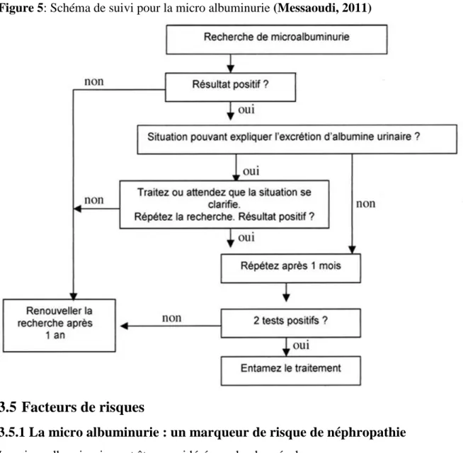 Figure 5: Schéma de suivi pour la micro albuminurie (Messaoudi, 2011) 
