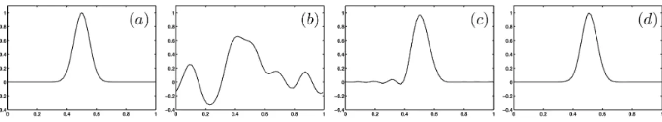 Figure 3: Snapshots of the numerical solutions at final time. Figure (a) corresponds to the explicit scheme, (b) to the θ-scheme, (c) to the naive (θ, ϕ)-scheme and (d) to the optimal (θ, ϕ)-scheme