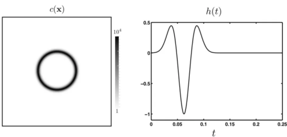 Figure 5: Representation of the coefficients c(x) and h(t).