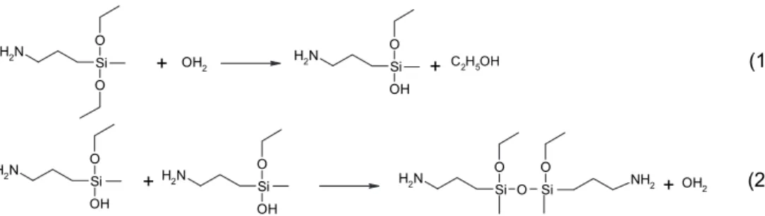 Fig. 1. Hydrolysis (1) and condensation (2) reactions of 3-aminopropylmethyldiethoxysilane (AMDES), which upon repeated cycles lead to the formation of dimers and oligomers.
