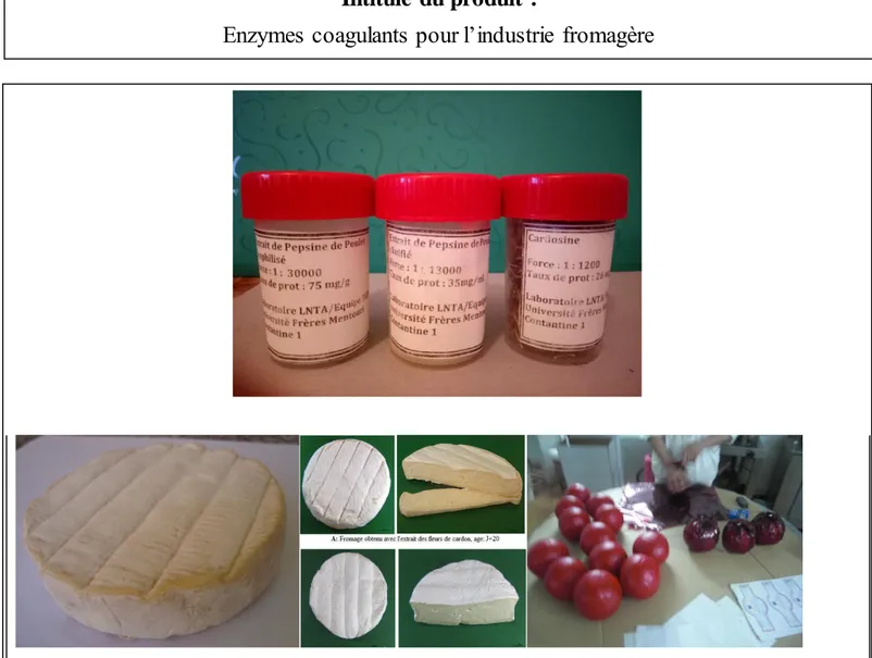 Figure 28 :Le fromage obtenu avec l’extrait de cardon et le fromage témoin, après 20 jours de production.