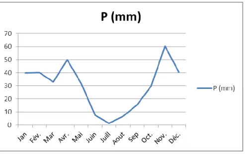 Figure 10: Précipitation moyenne mensuelle. 