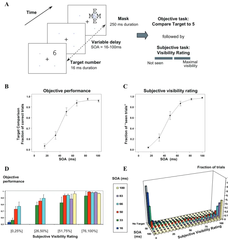 Figure 2. Experimental Protocol and Behavioral Results Collected during ERP Recording