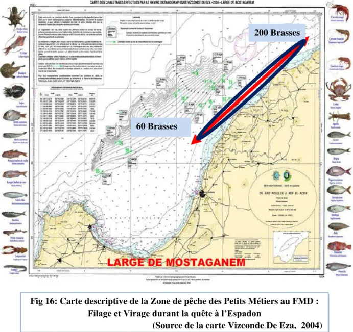 Fig 16: Carte descriptive de la Zone de pêche des Petits Métiers au FMD :  Filage et Virage durant la quête à l’Espadon 