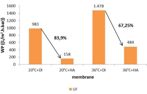 Figure 3.3 Visual impression of the UF membrane samples after HA treatment 