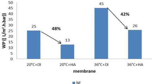 Figure .3.7. Visual impression of the NF membrane samples after HA treatment 
