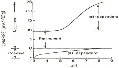 Figure 2 -Variation de la charge nette de surface des colloïdes du sol (in Bohn, McNeal et  O'Connor, 1979)