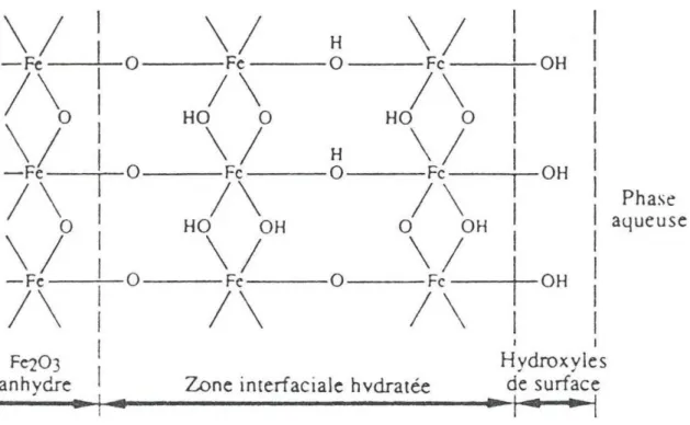 Figure 5 - Représentation schématique de l'interface hydraté d'un oxyde de fer (hématite)  avec formation d'une intercouchede type goethite (in Chamayou et Legros, 1989)