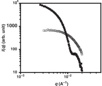 Fig. 2. SANS spectra of films made from 2 wt% deuterated poly- poly-styrene particles dispersed in a 10% cross-linked PBMA matrix: