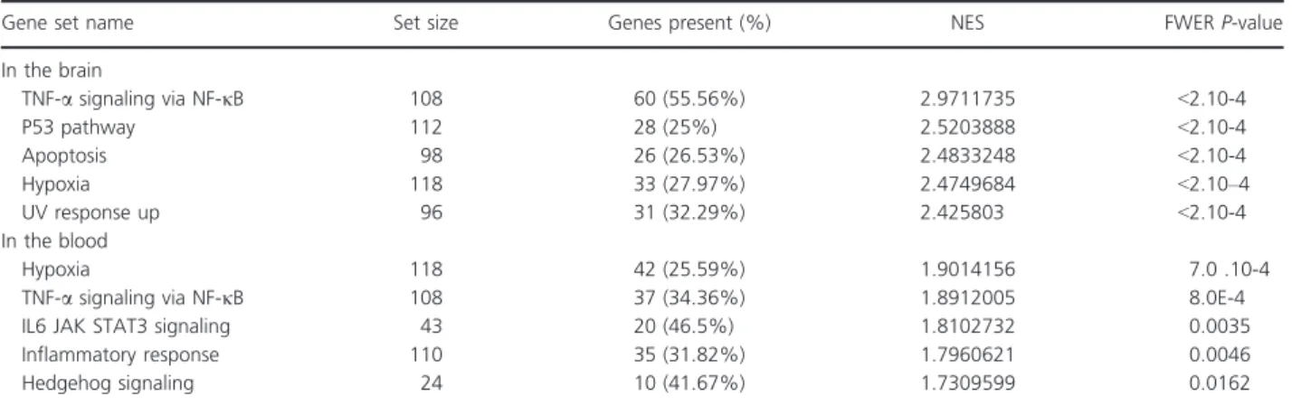 Table 2. The top five gene sets resulting from GSEA analysis differential expression results in the brain and blood.