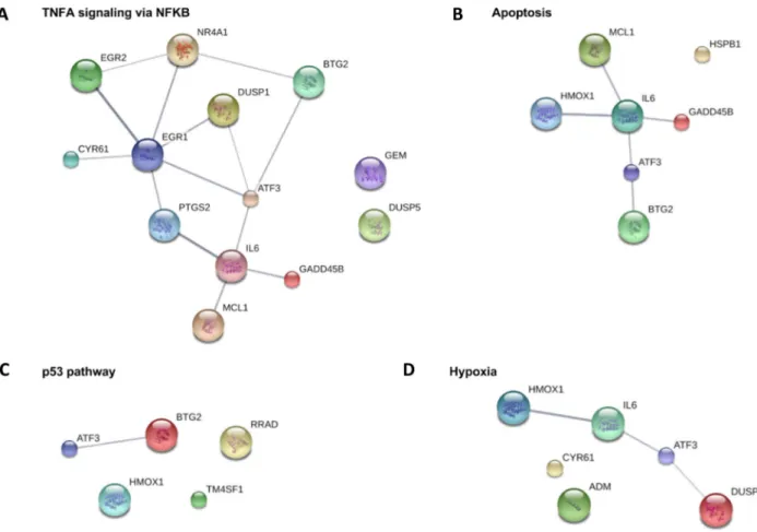 Figure 5. Relationships of the top differentially expressed genes within the top GSEA gene sets