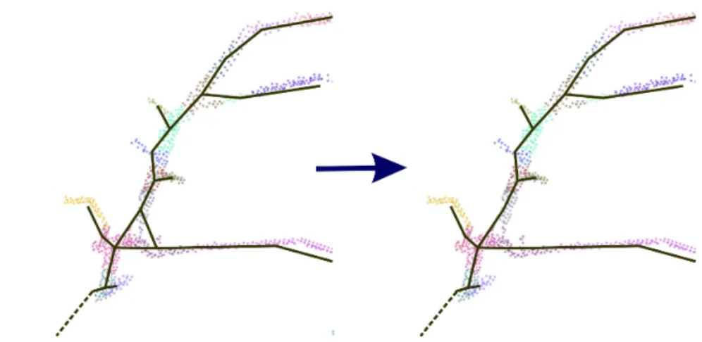 Figure 3: Skeleton generation. The background is the clustering result and the dash line means the branch connected to the root