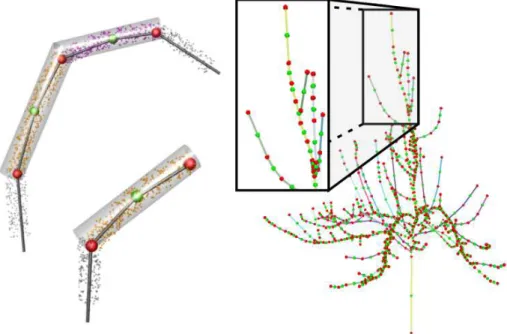 Figure 4: Definition of junction points. Upper left: the green spheres represent the center of each cluster, and the red spheres represent the internal junction points