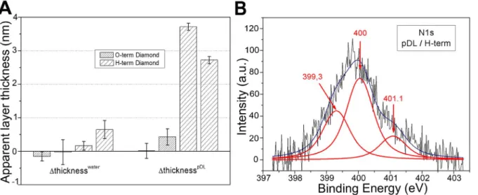 Figure 1. Characterization of the poly-D-lysine coating on diamond. (A) Ellipsometry measurements on two H-terminated and two O- O-terminated diamond samples