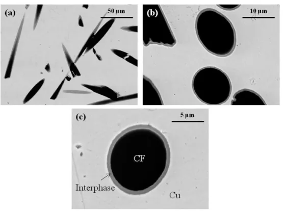 Figure 5:  SEM micrographs in back-scattered electron mode of Cu/TiC x /CF composites sintered with  (a) 4, (b) 8 , and (c) 10 vol% of Cu-Ti alloyed powders