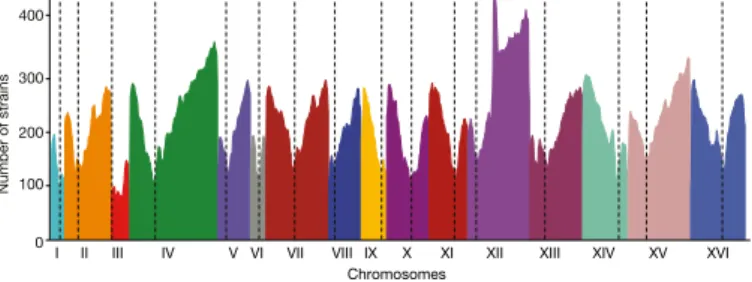 Table 7). However, LOH events are not evenly distributed along the  genome (Fig. 5) and centromere-proximal regions exhibit low levels  of recombination initiation, consistent with them experiencing few  LOH events.