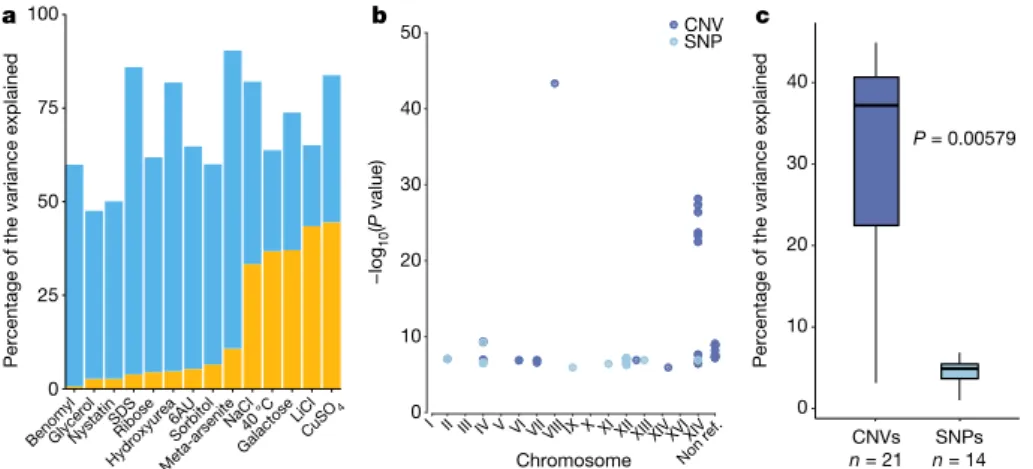 Fig. 6 | Genotype–phenotype relationship in S. cerevisiae. a, Narrow- Narrow-sense heritability (blue) and phenotypic variance explained (yellow) for  phenotypes with associated variants