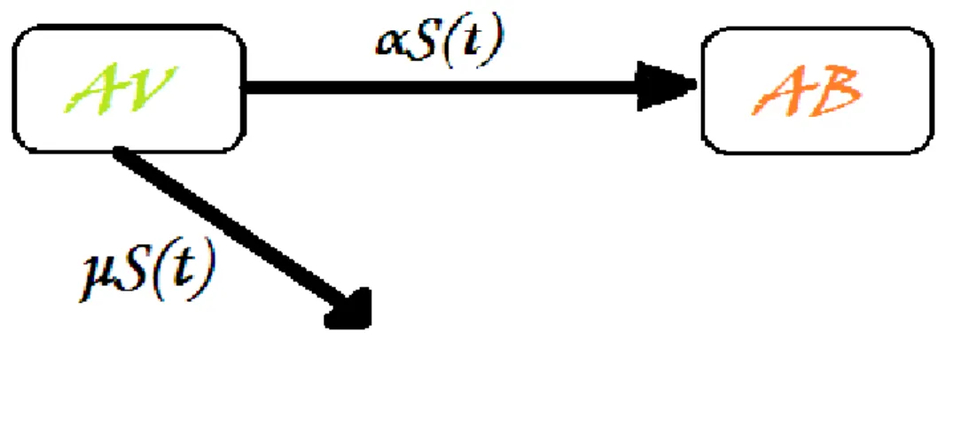 Fig. 3.4 - Le modle