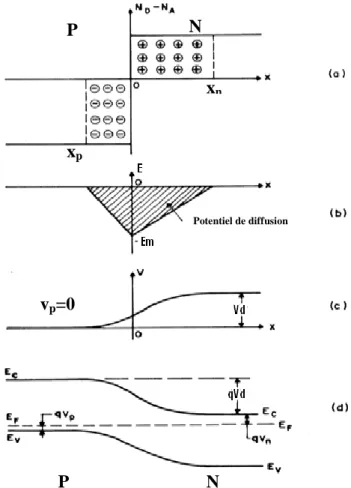 Figure  ‎ II-6 : Jonction PN (abrupte) à l’équilibre: a) distribution des impuretés ionisées; 