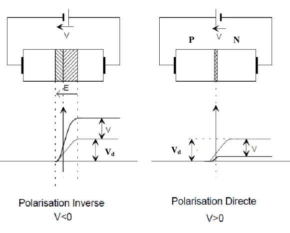 Figure  ‎ II-7: Jonction PN polarisée directe (positive) et indirecte (négative) 