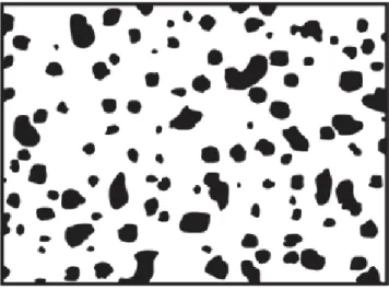 Figure II.6 : Matériau FGM à deux phases avec microstructure particulaire. [55]   