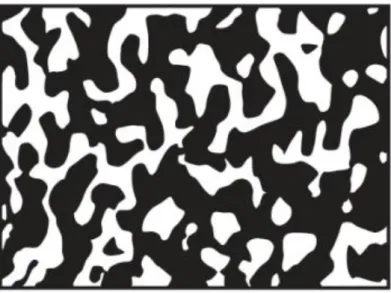 Figure II.7 : Matériau FGM à deux phases avec microstructure squelettique. [56] 