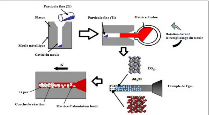 Figure II.8 : Le coulage centrifuge des poudres mixtes [78].