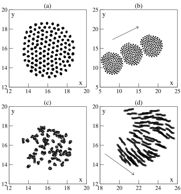 Figure 1. Cohesive flocks of 128 particles in a square box of linear size 32 with periodic boundary conditions (for parameters see Table 1)