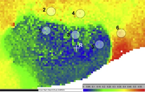 Fig. 5. High precision EBSD map of the grain containing the sub-grain boundary, measured with a step size of 90 nm.